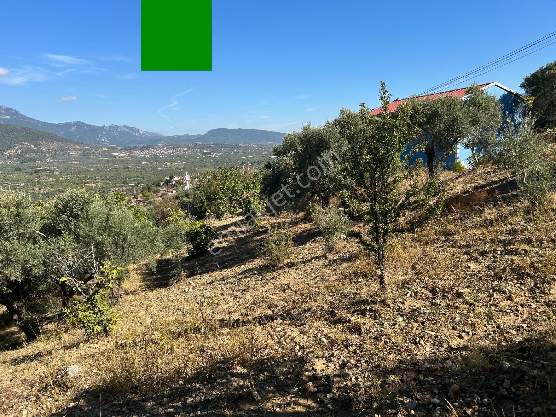 Buca Turyap'tan Köye Yakın, Evi Olan, Tek Tapu Kıymetli Arazi - Görsel 19