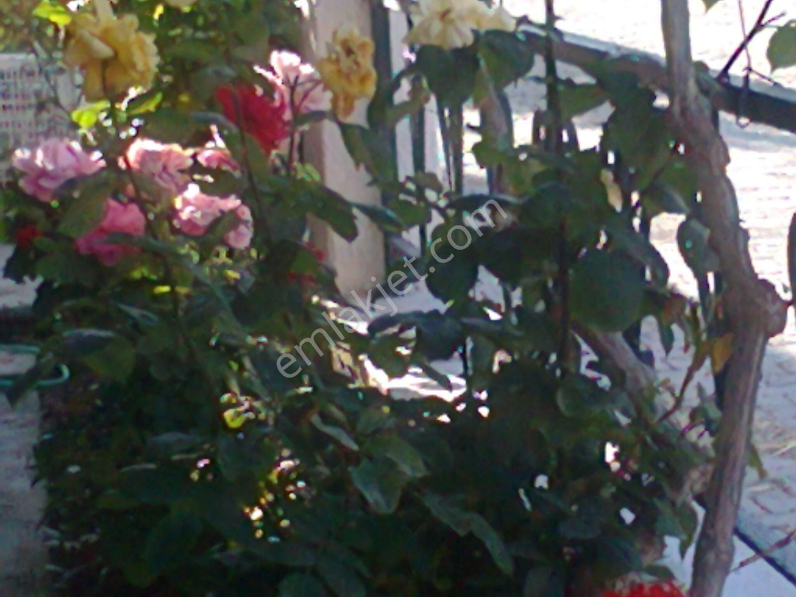 Didim De Tam Müstakil 4+2 Ev - Görsel 13