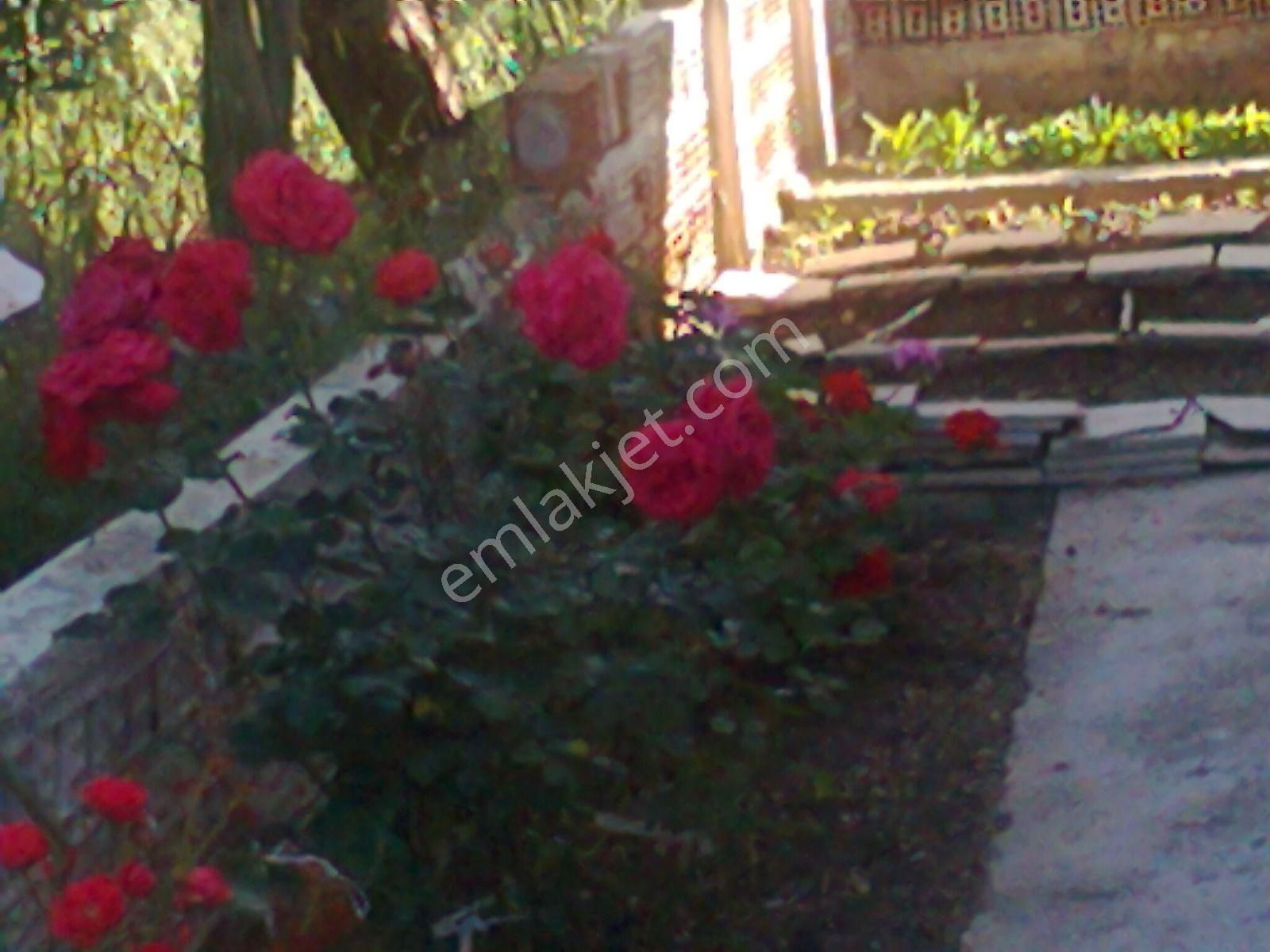 Didim De Tam Müstakil 4+2 Ev - Görsel 5