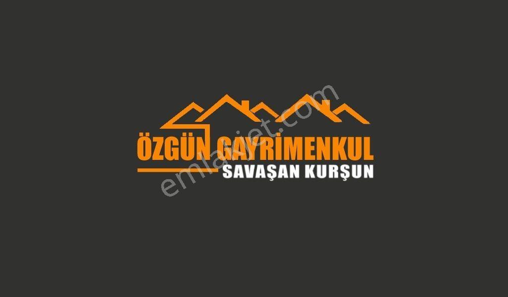 Özgün Gm'den - Küçüksümbüller'de Yolun Dibinde, Satılık - Konteynerli, Zeytinli Tarla - Görsel 3