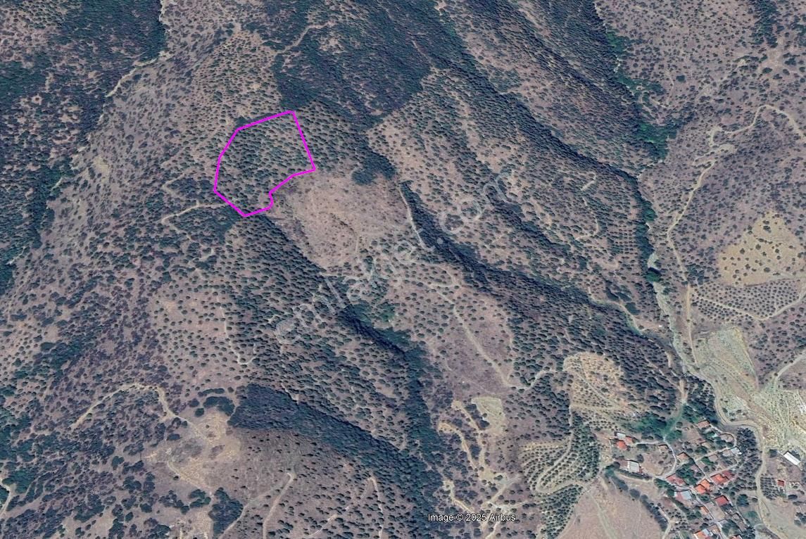 Araç Takaslı Fırsat Zeytinlik 16.255 M2 - Görsel 6