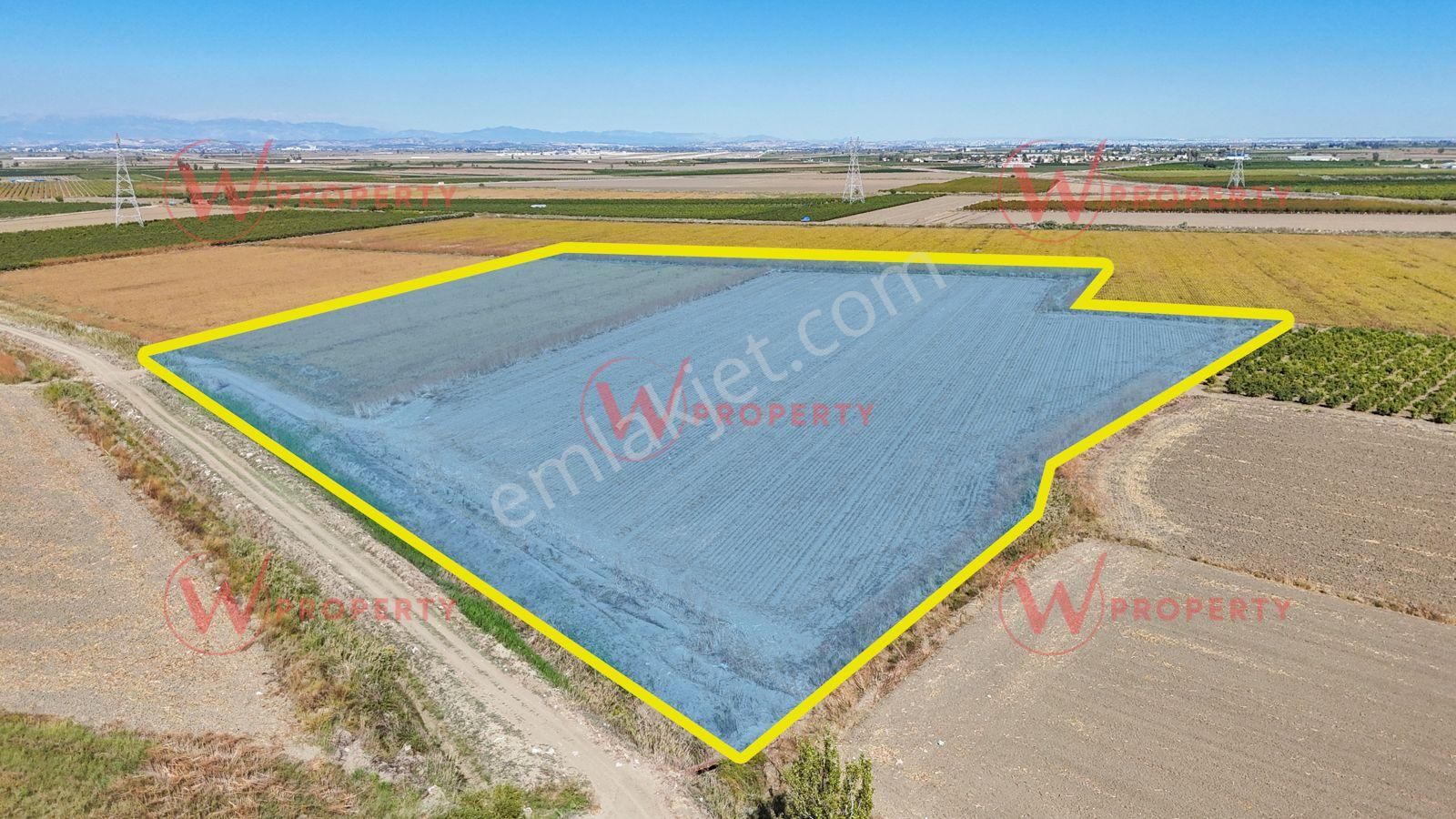 W Property'den Havaalanı Yakını 34 Dönüm Arazi - Görsel 5