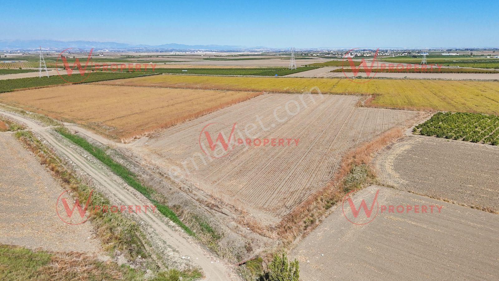 W Property'den Havaalanı Yakını 34 Dönüm Arazi - Görsel 4