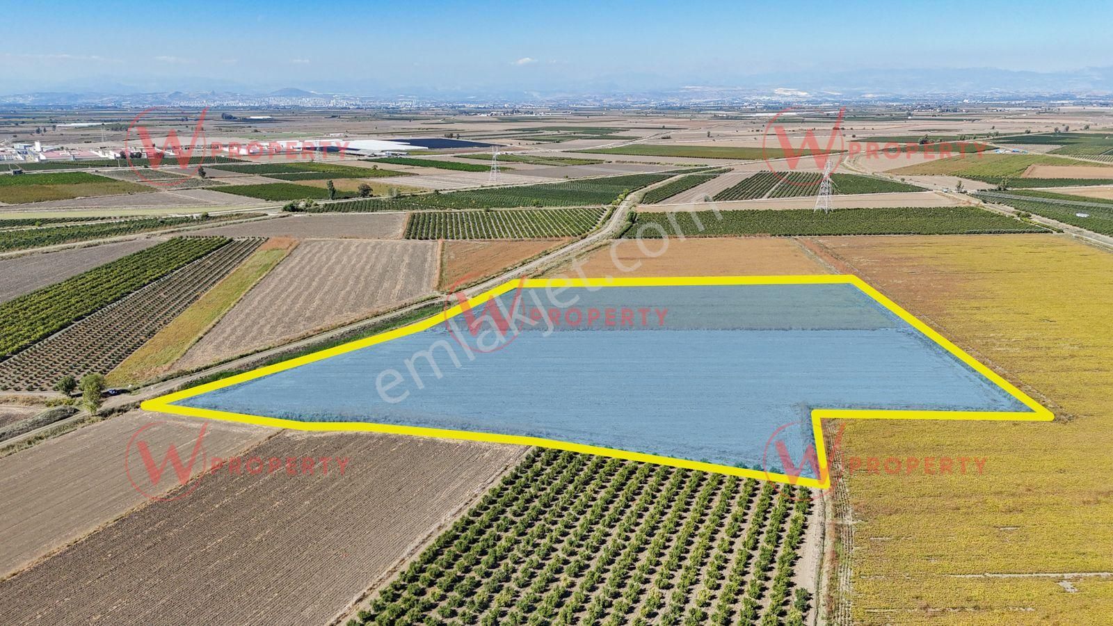 W Property'den Havaalanı Yakını 34 Dönüm Arazi