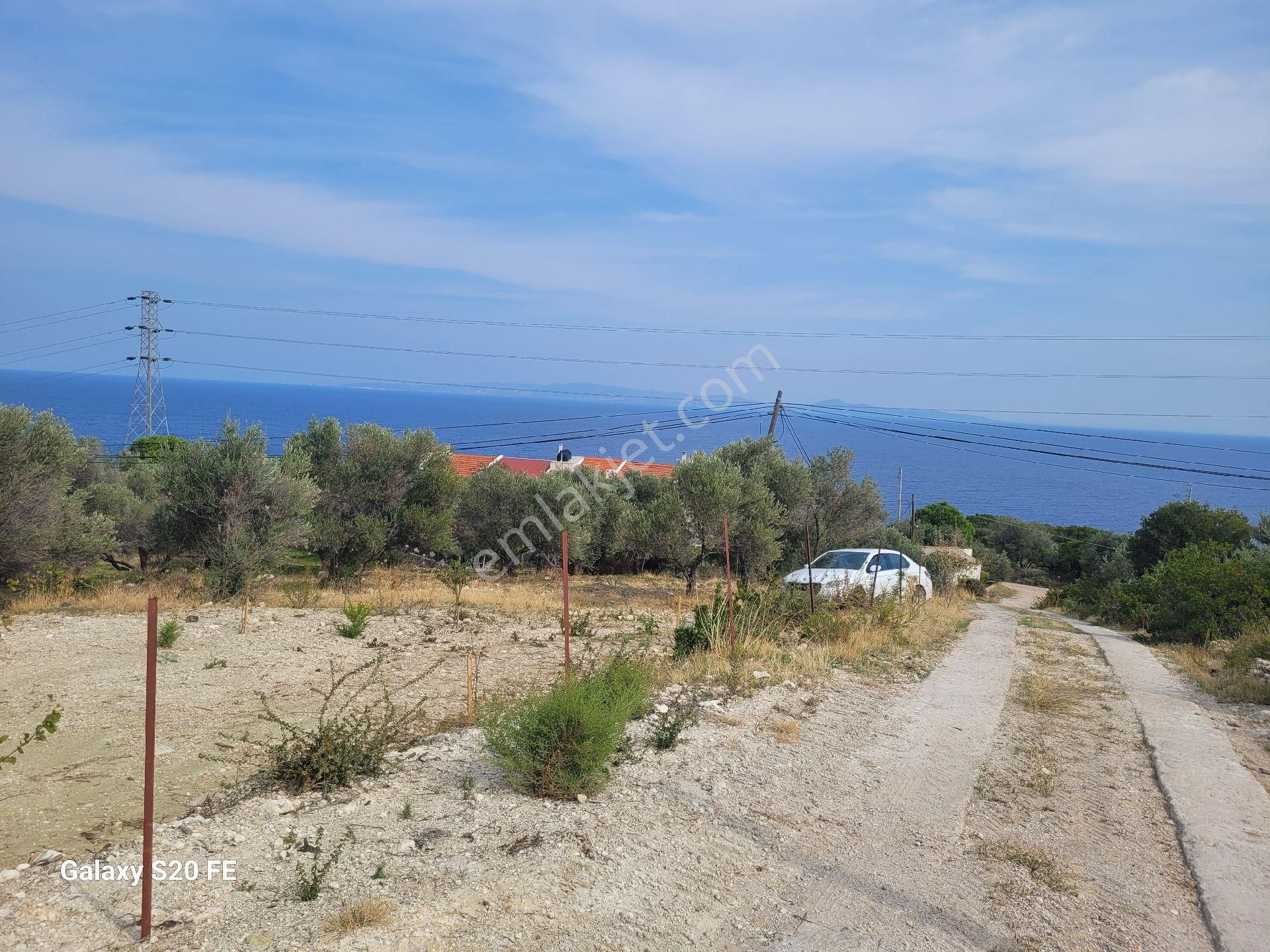 Kösedere De Denize 500 Metre - Görsel 14