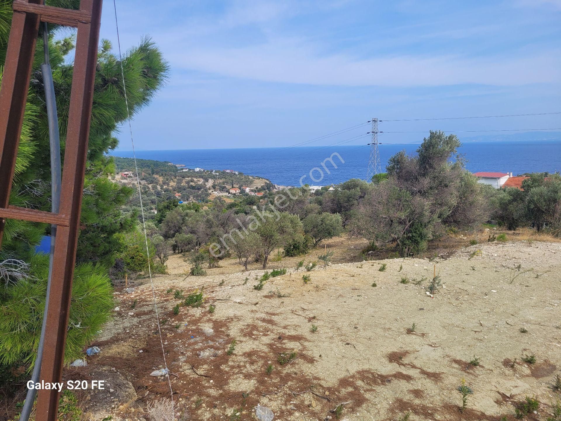 Kösedere De Denize 500 Metre - Görsel 9