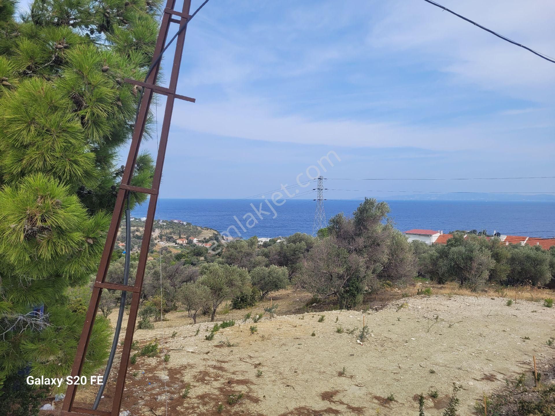 Kösedere De Denize 500 Metre - Görsel 10