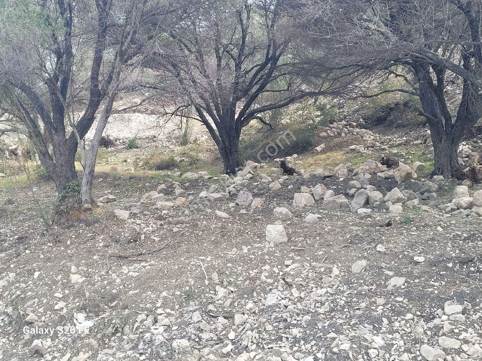 Eğlenhocada Deniz Manzaralı - Görsel 14