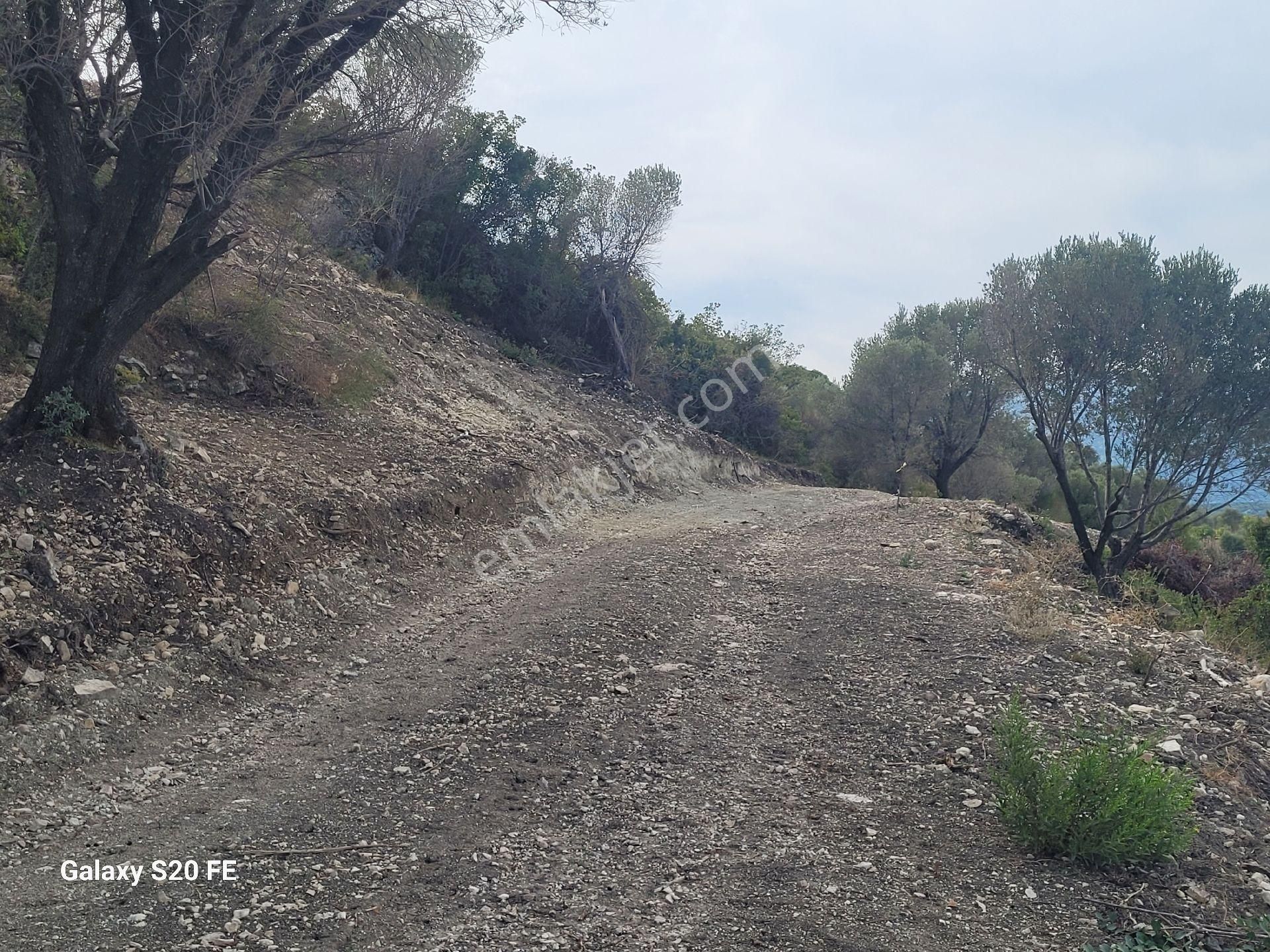 Eğlenhocada Deniz Manzaralı - Görsel 13