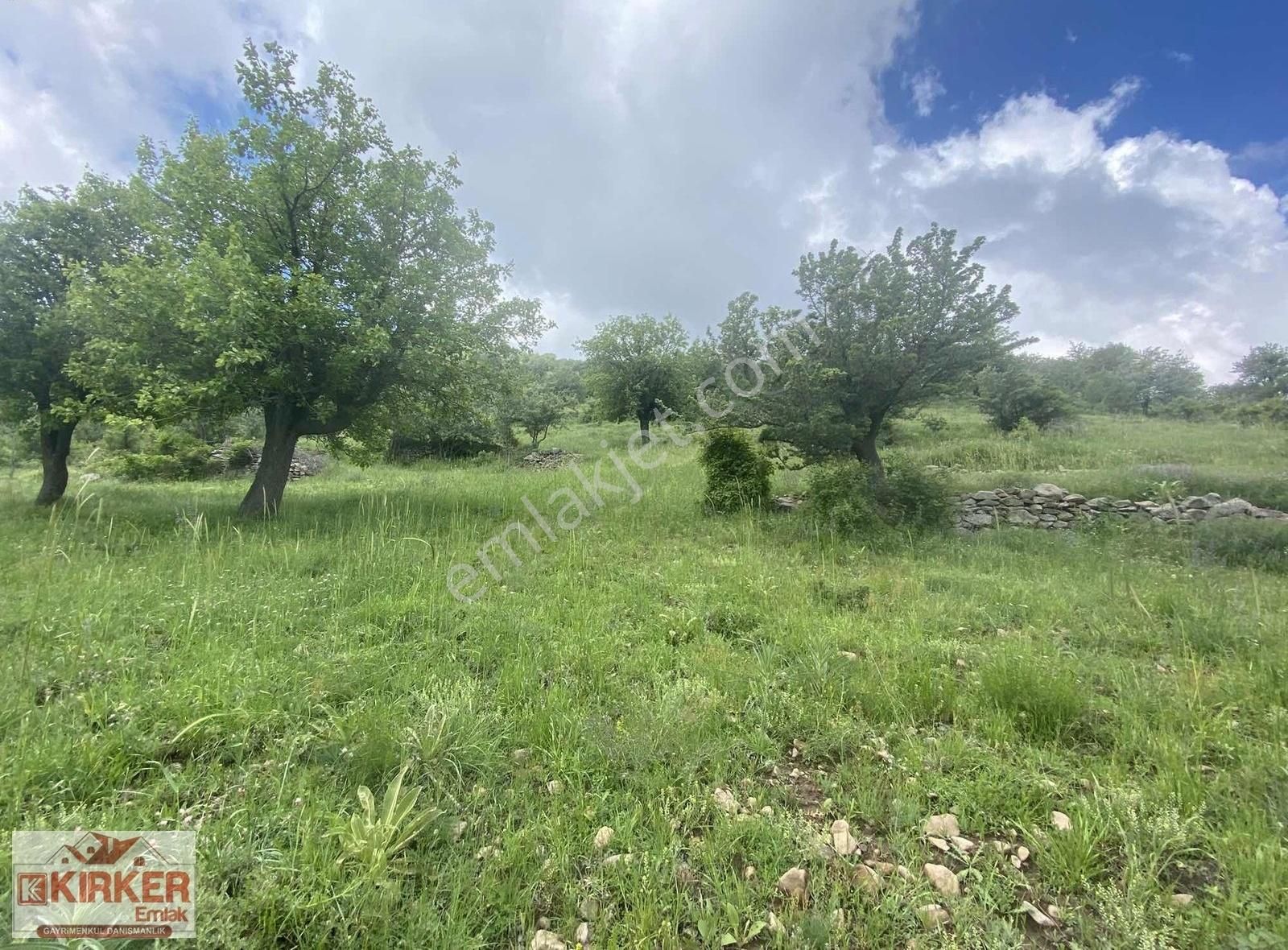 Kırker'den Kocatepe-zafer 15.343m² Satılık Kupon Tarla Bahçe ! - Görsel 5