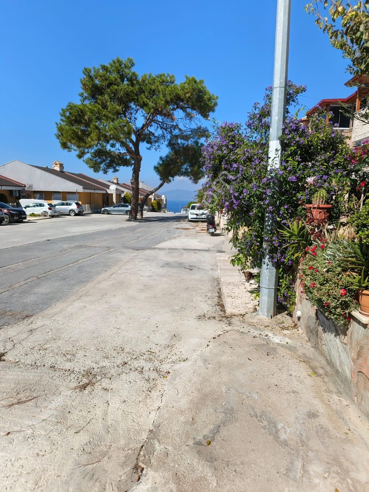 Kuşadası Kadınlar Denizinde 3+1 Fırsat Villa - Görsel 2