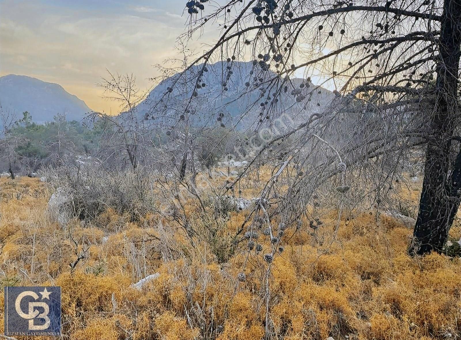 Coldwell Banker Burak Efe Den Marmaris Osmaniye De Tarla - Görsel 4