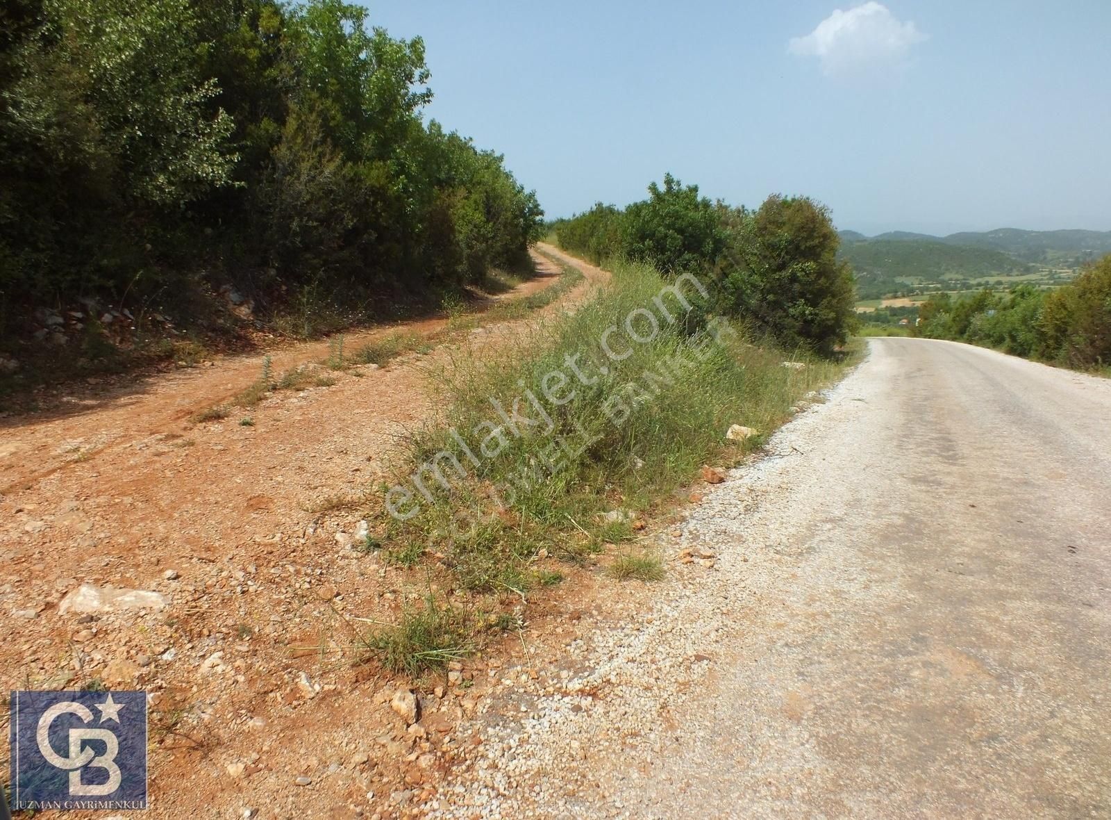 Muğla Menteşe Yenibağkayada 2.929 M2 Vadi Manzaralı Satılı Tarla - Görsel 7