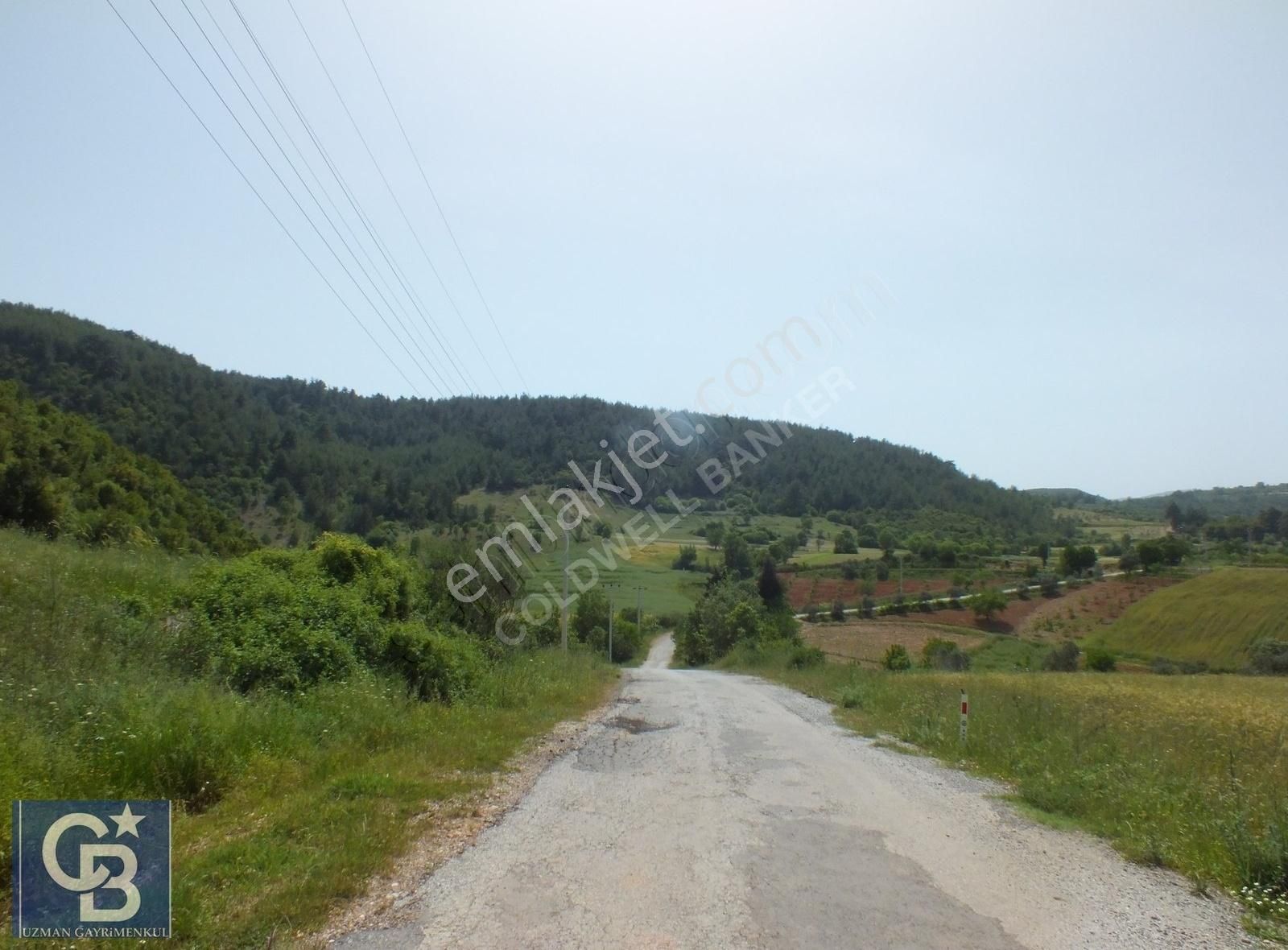 Muğla Menteşe Yenibağkayada 2.929 M2 Vadi Manzaralı Satılı Tarla - Görsel 12