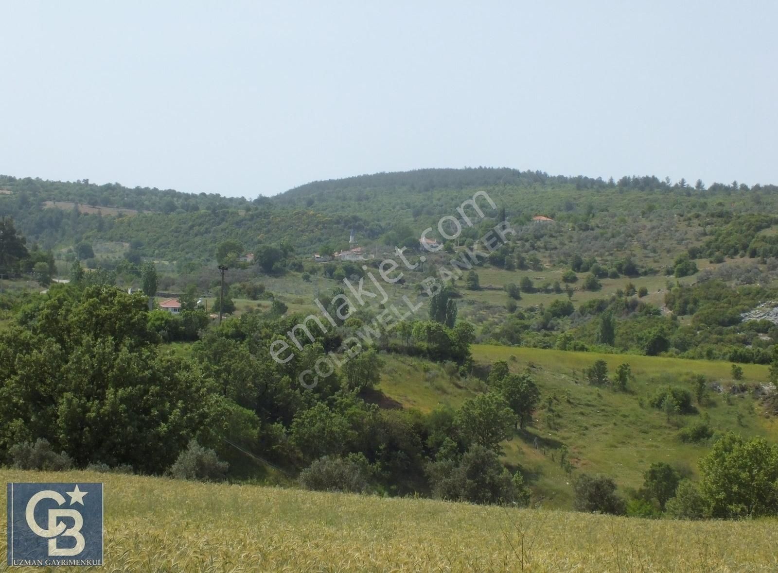Muğla Menteşe Yenibağkayada 2.929 M2 Vadi Manzaralı Satılı Tarla - Görsel 19