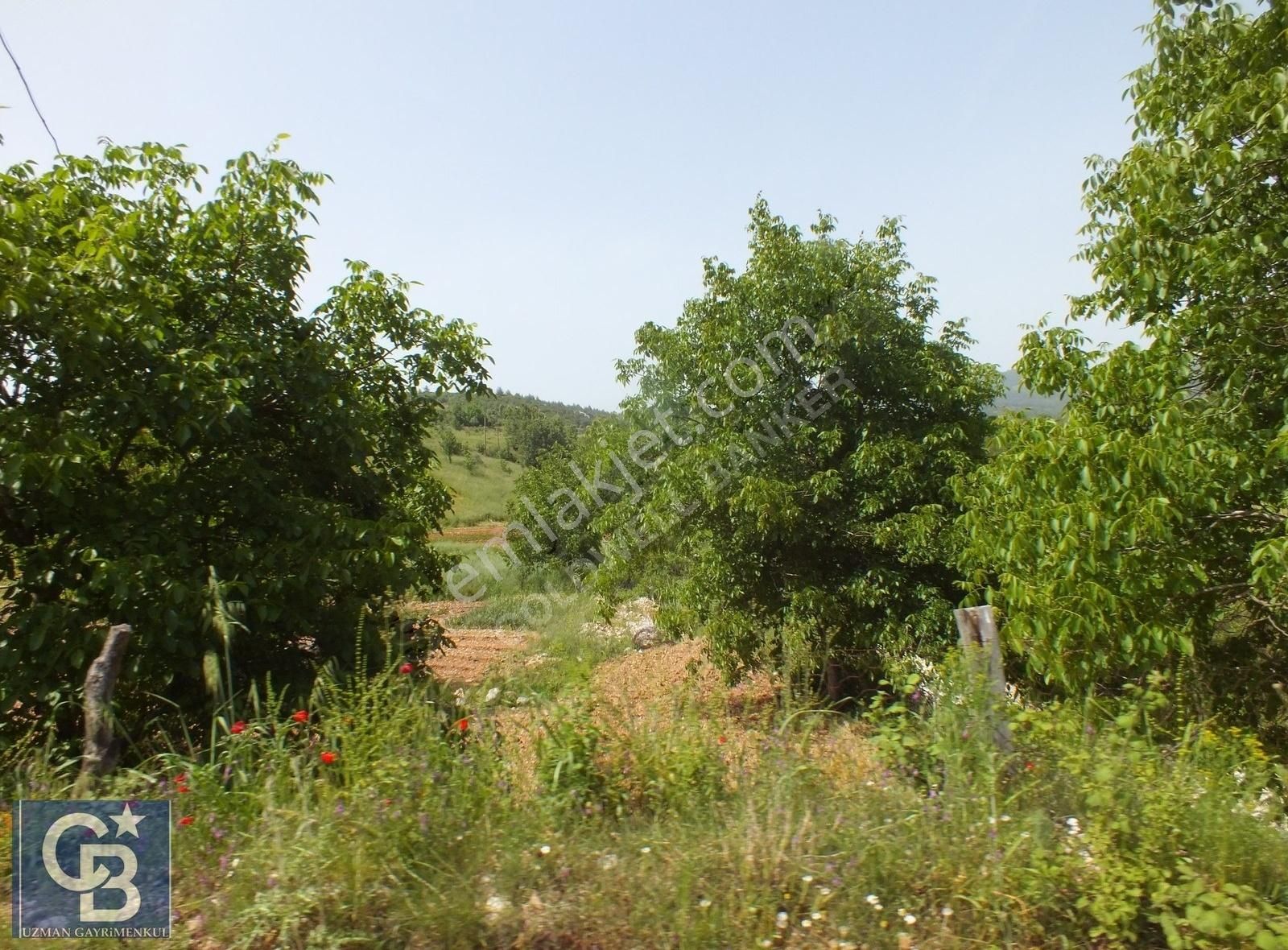 Muğla Menteşe Yenibağkayada 2.929 M2 Vadi Manzaralı Satılı Tarla - Görsel 17