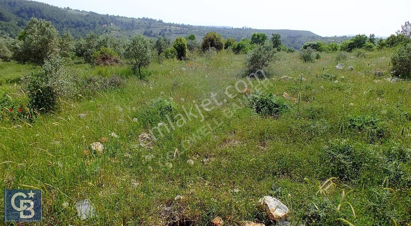 Muğla Menteşe Yenibağkayada 2.929 M2 Vadi Manzaralı Satılı Tarla - Görsel 18