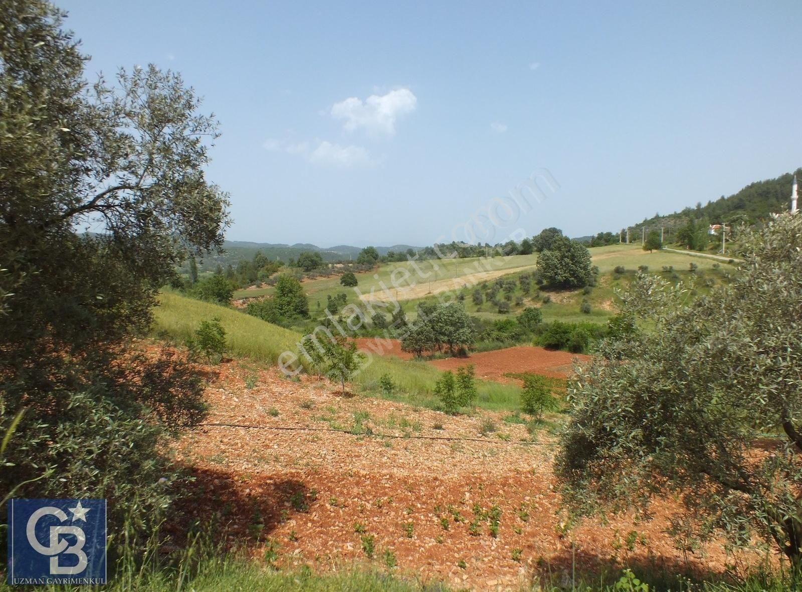 Muğla Menteşe Yenibağkayada 2.929 M2 Vadi Manzaralı Satılı Tarla - Görsel 4