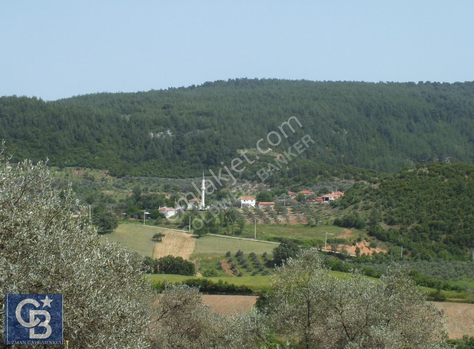 Muğla Menteşe Yenibağkayada 2.929 M2 Vadi Manzaralı Satılı Tarla - Görsel 15