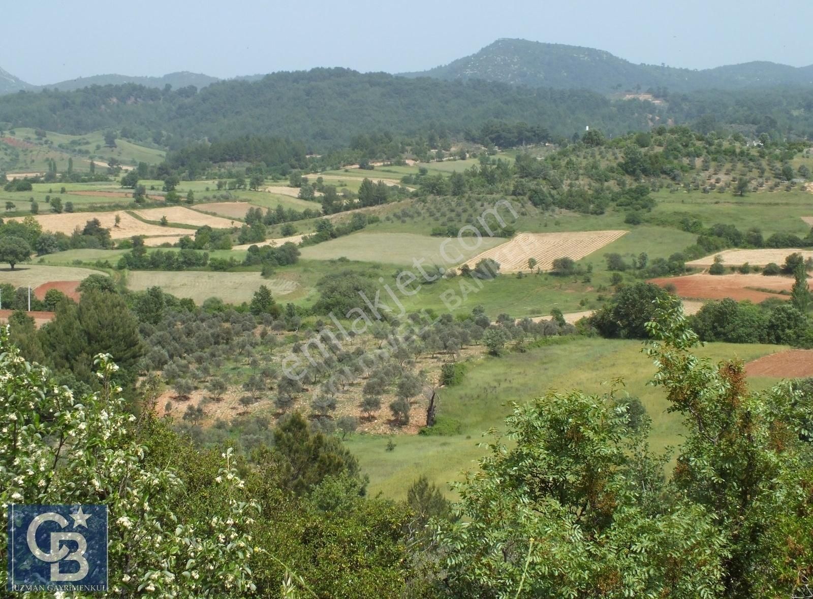 Muğla Menteşe Yenibağkayada 2.929 M2 Vadi Manzaralı Satılı Tarla - Görsel 9