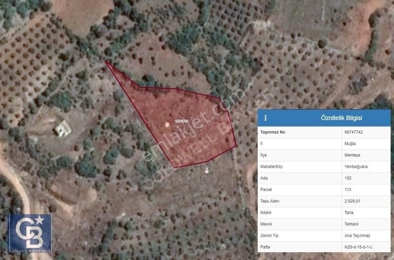 Muğla Menteşe Yenibağkayada 2.929 M2 Vadi Manzaralı Satılı Tarla - Görsel 5