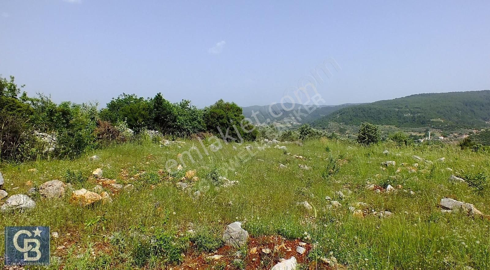 Muğla Menteşe Yenibağkayada 2.929 M2 Vadi Manzaralı Satılı Tarla - Görsel 6