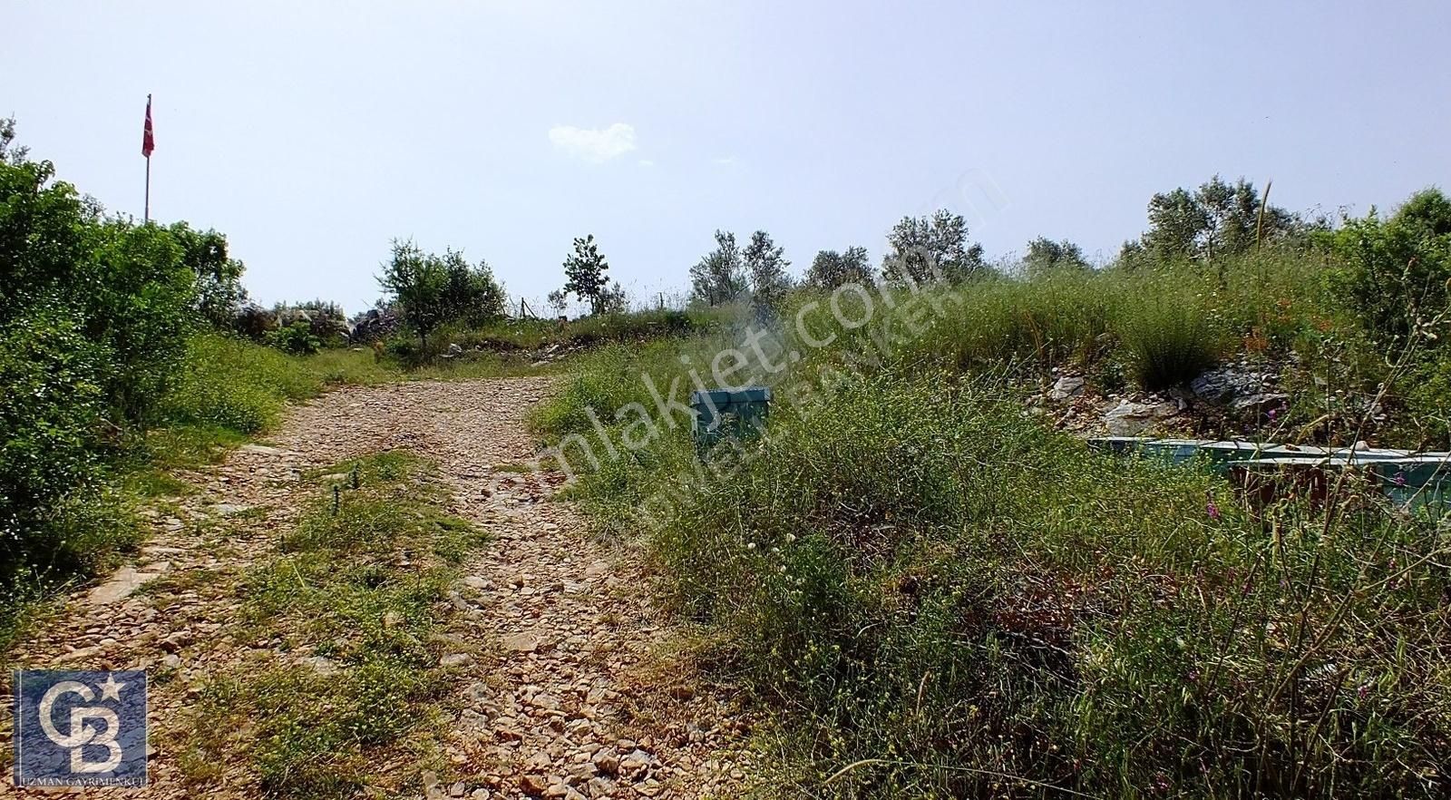 Muğla Menteşe Yenibağkayada 2.929 M2 Vadi Manzaralı Satılı Tarla - Görsel 10