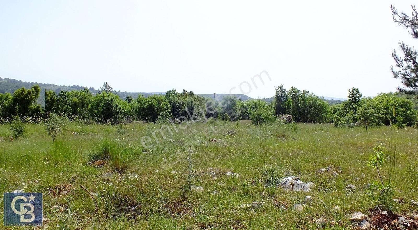Muğla Menteşe Yenibağkayada 2.929 M2 Vadi Manzaralı Satılı Tarla - Görsel 11