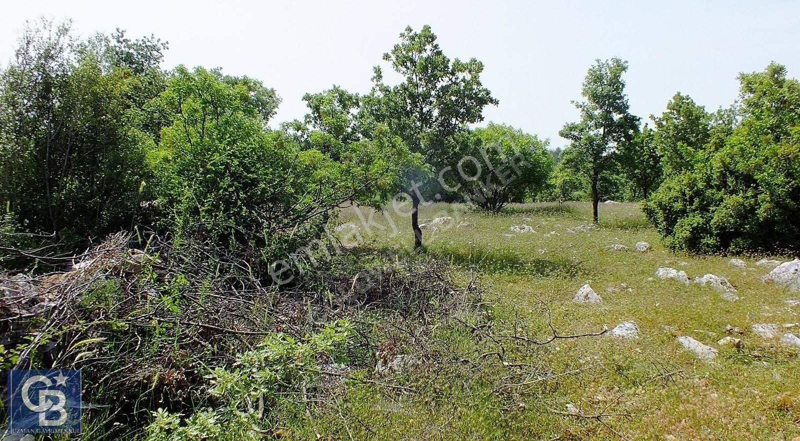 Muğla Menteşe Yenibağkayada 2.929 M2 Vadi Manzaralı Satılı Tarla - Görsel 22