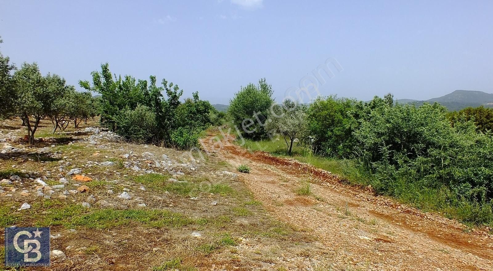 Muğla Menteşe Yenibağkayada 2.929 M2 Vadi Manzaralı Satılı Tarla - Görsel 13