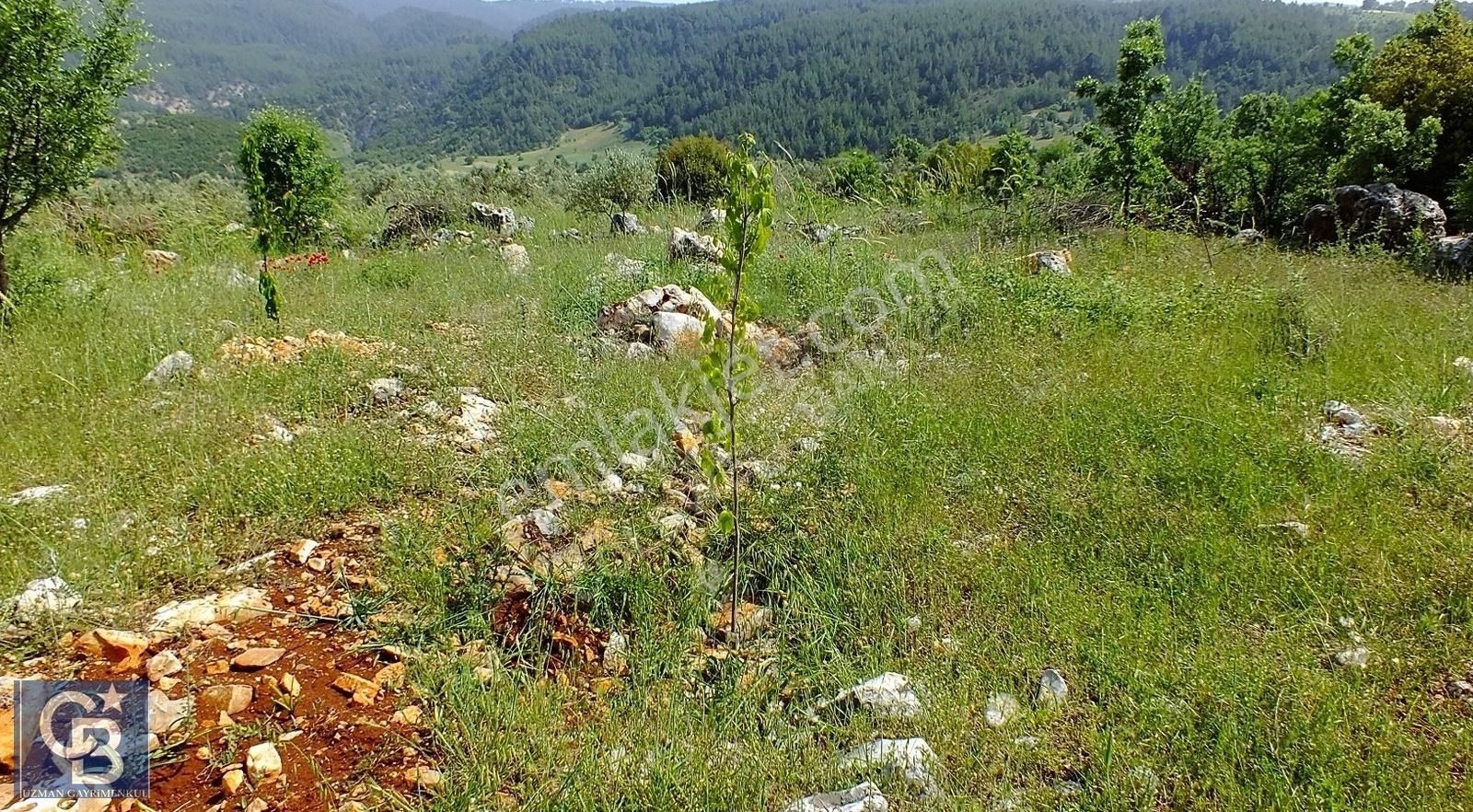 Muğla Menteşe Yenibağkayada 2.929 M2 Vadi Manzaralı Satılı Tarla - Görsel 2