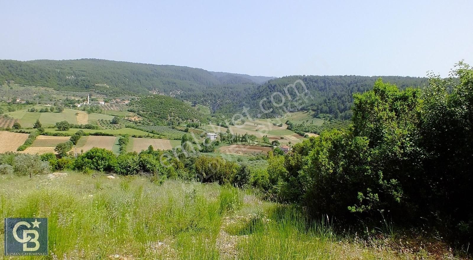 Muğla Menteşe Yenibağkayada 2.929 M2 Vadi Manzaralı Satılı Tarla - Görsel 23