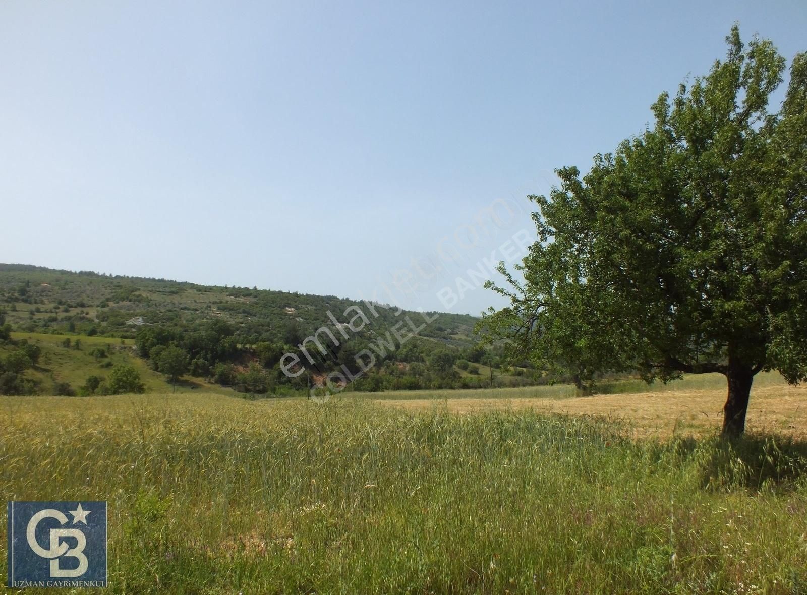 Muğla Menteşe Yenibağkayada 2.929 M2 Vadi Manzaralı Satılı Tarla - Görsel 16