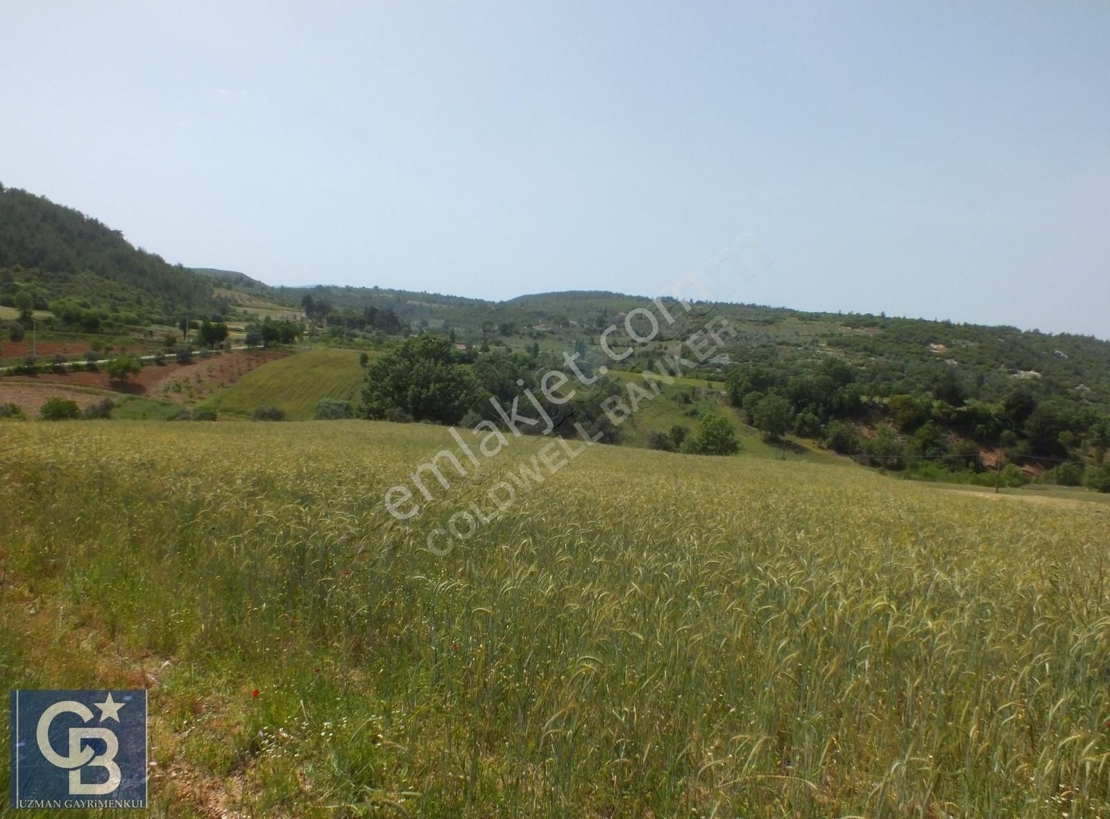 Muğla Menteşe Yenibağkayada 2.929 M2 Vadi Manzaralı Satılı Tarla - Görsel 21