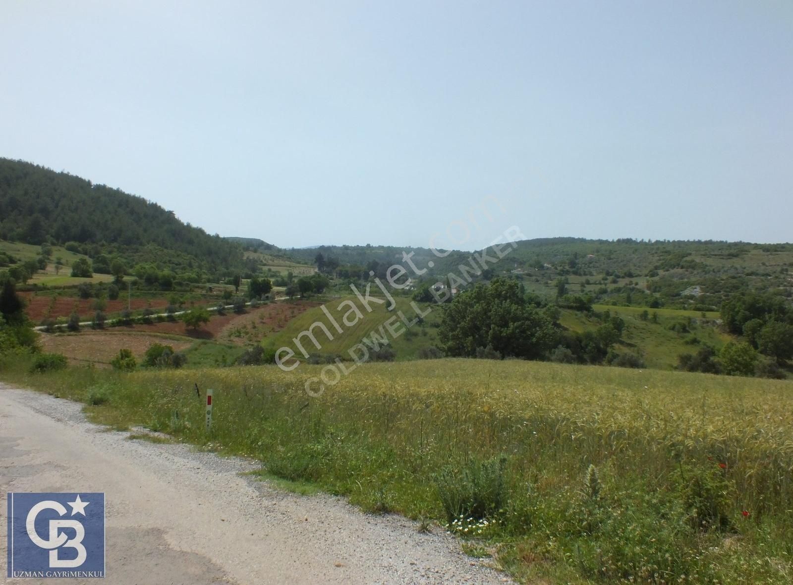 Muğla Menteşe Yenibağkayada 2.929 M2 Vadi Manzaralı Satılı Tarla - Görsel 20
