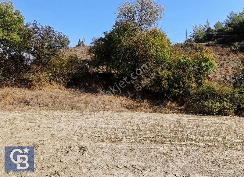 Ula Portakallık Ta Köy İçi İmarlı Arazi - Görsel 7