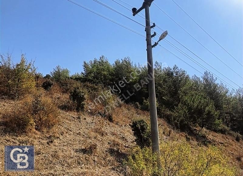 Ula Portakallık Ta Köy İçi İmarlı Arazi - Görsel 15