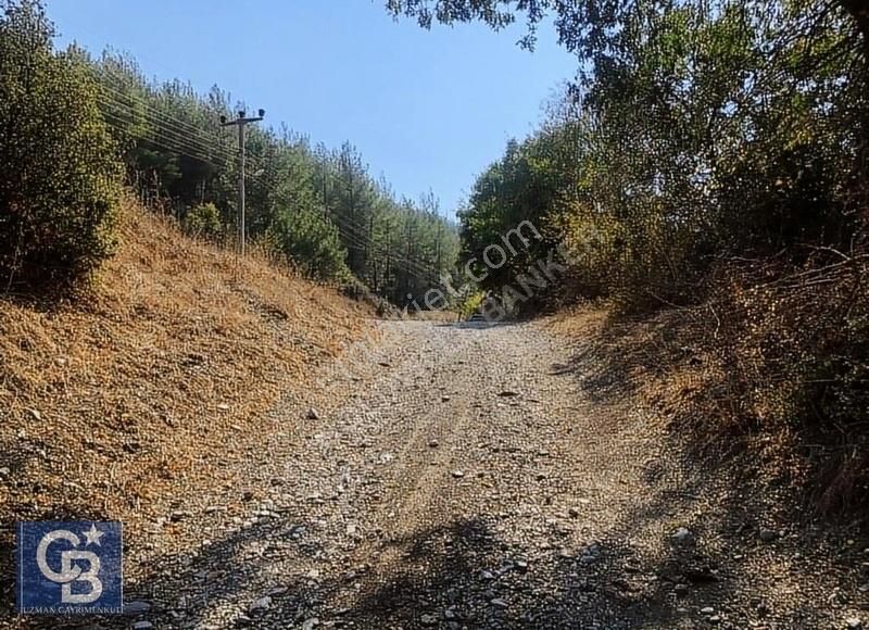 Ula Portakallık Ta Köy İçi İmarlı Arazi - Görsel 9
