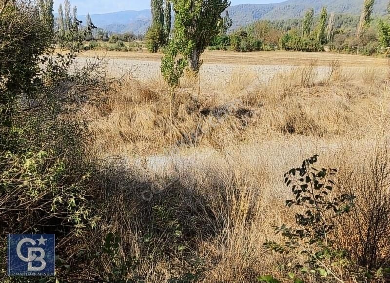 Ula Portakallık Ta Köy İçi İmarlı Arazi - Görsel 2