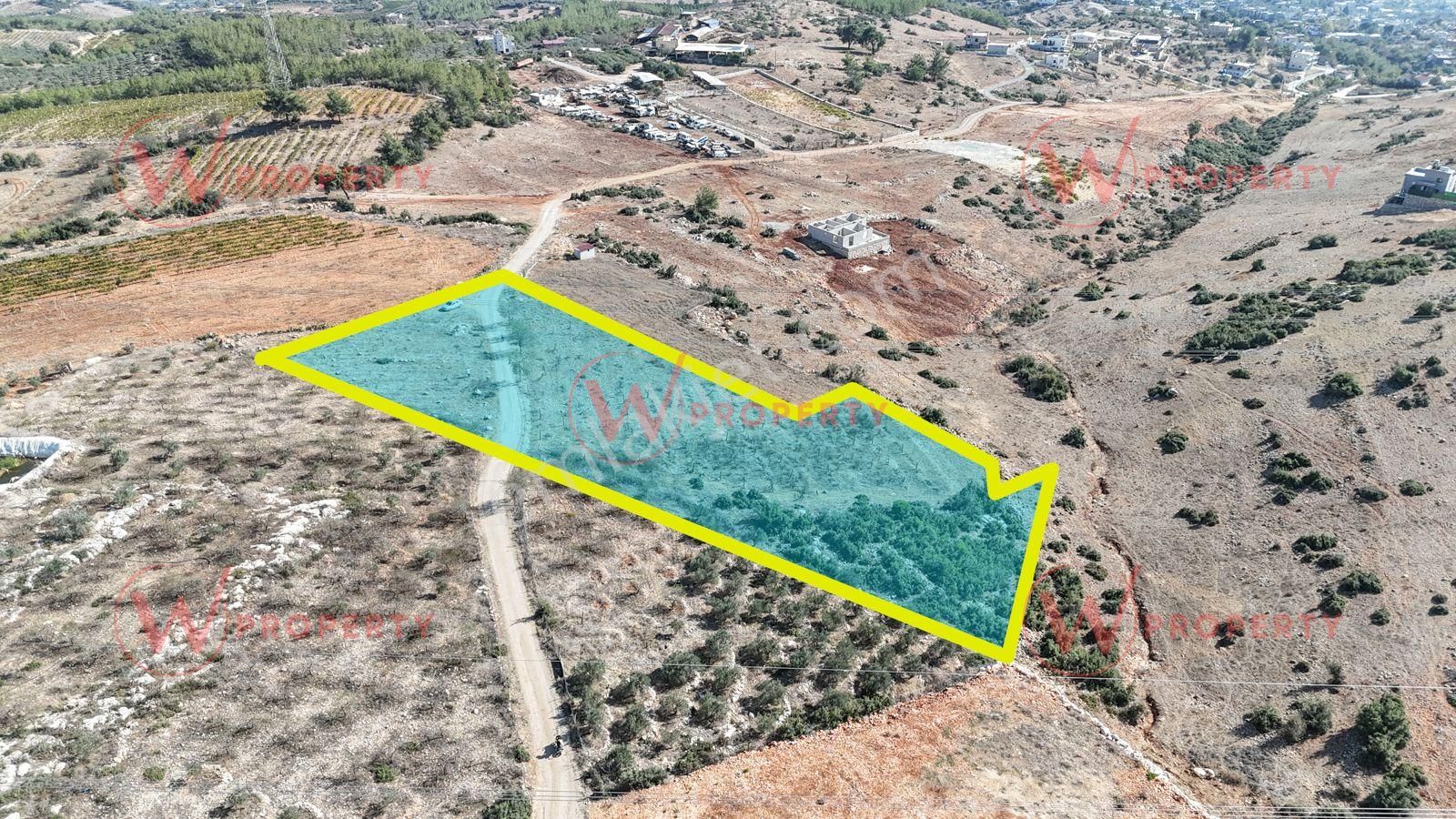 W Property Kaşlı'da 4.5 Dönüm Şehir Ve Deniz Manzaralı Parsel - Görsel 3