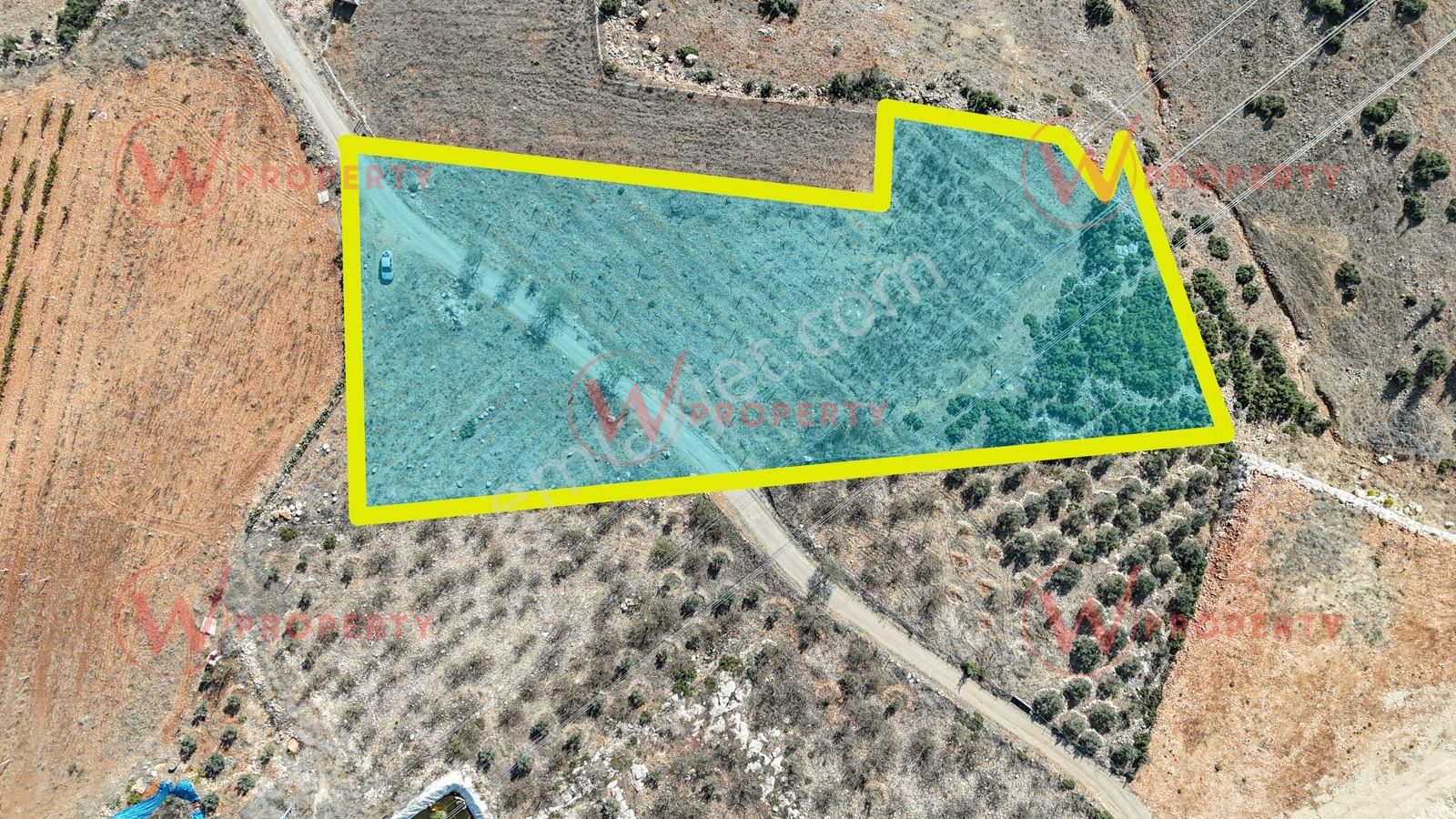 W Property Kaşlı'da 4.5 Dönüm Şehir Ve Deniz Manzaralı Parsel - Görsel 4