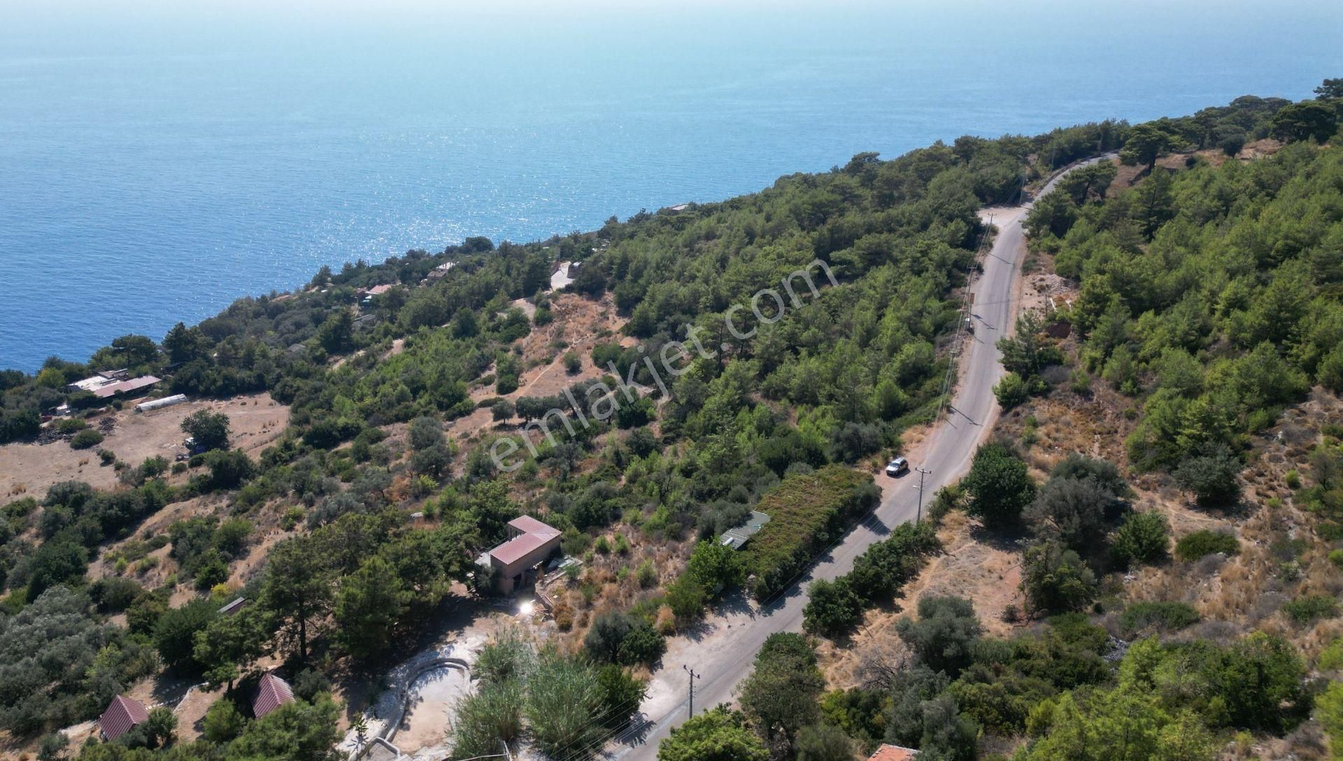 Goldhouse Dan Satılık Kabak Koyunda Tarla - Görsel 5