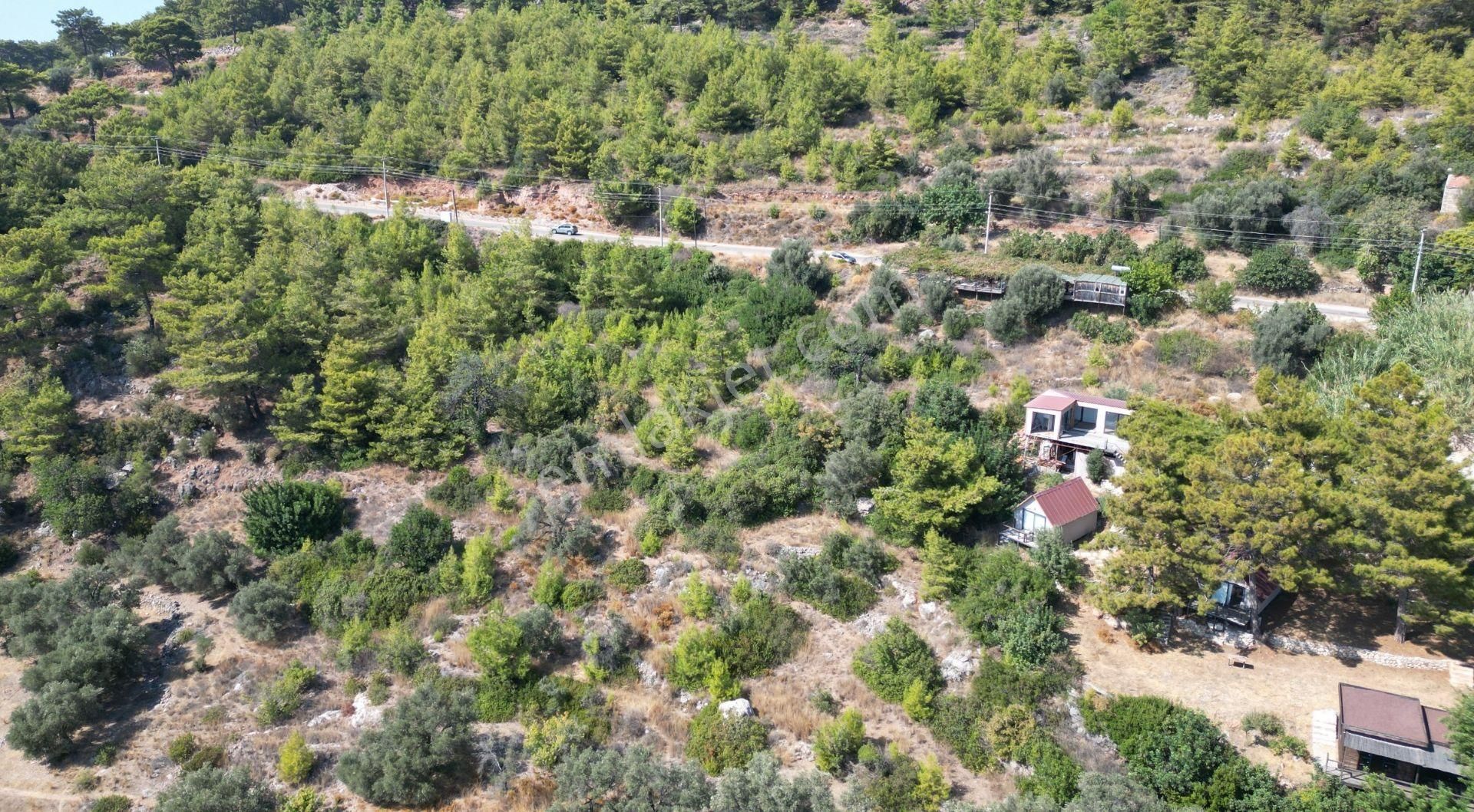 Goldhouse Dan Satılık Kabak Koyunda Tarla - Görsel 3