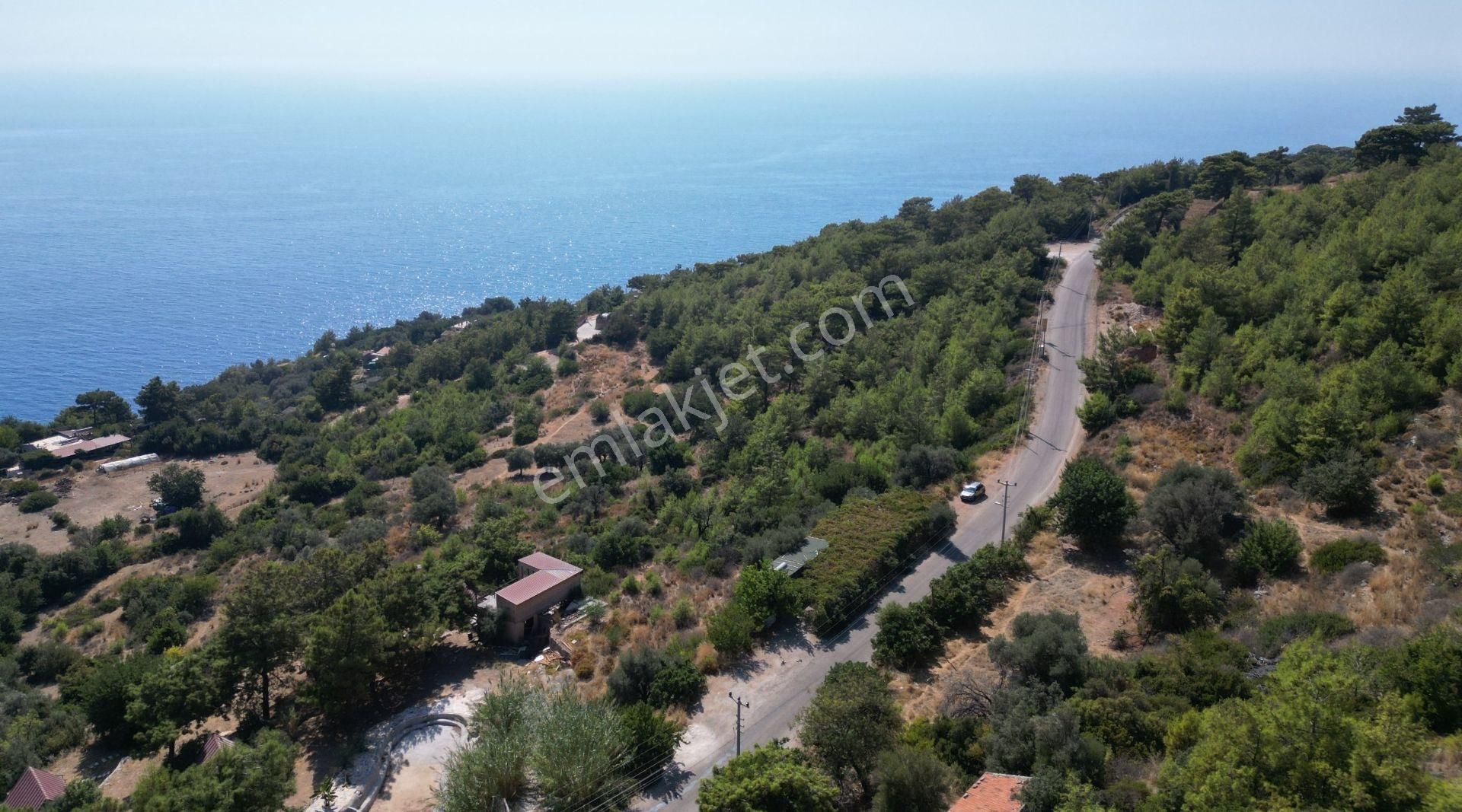 Goldhouse Dan Satılık Kabak Koyunda Tarla - Görsel 4