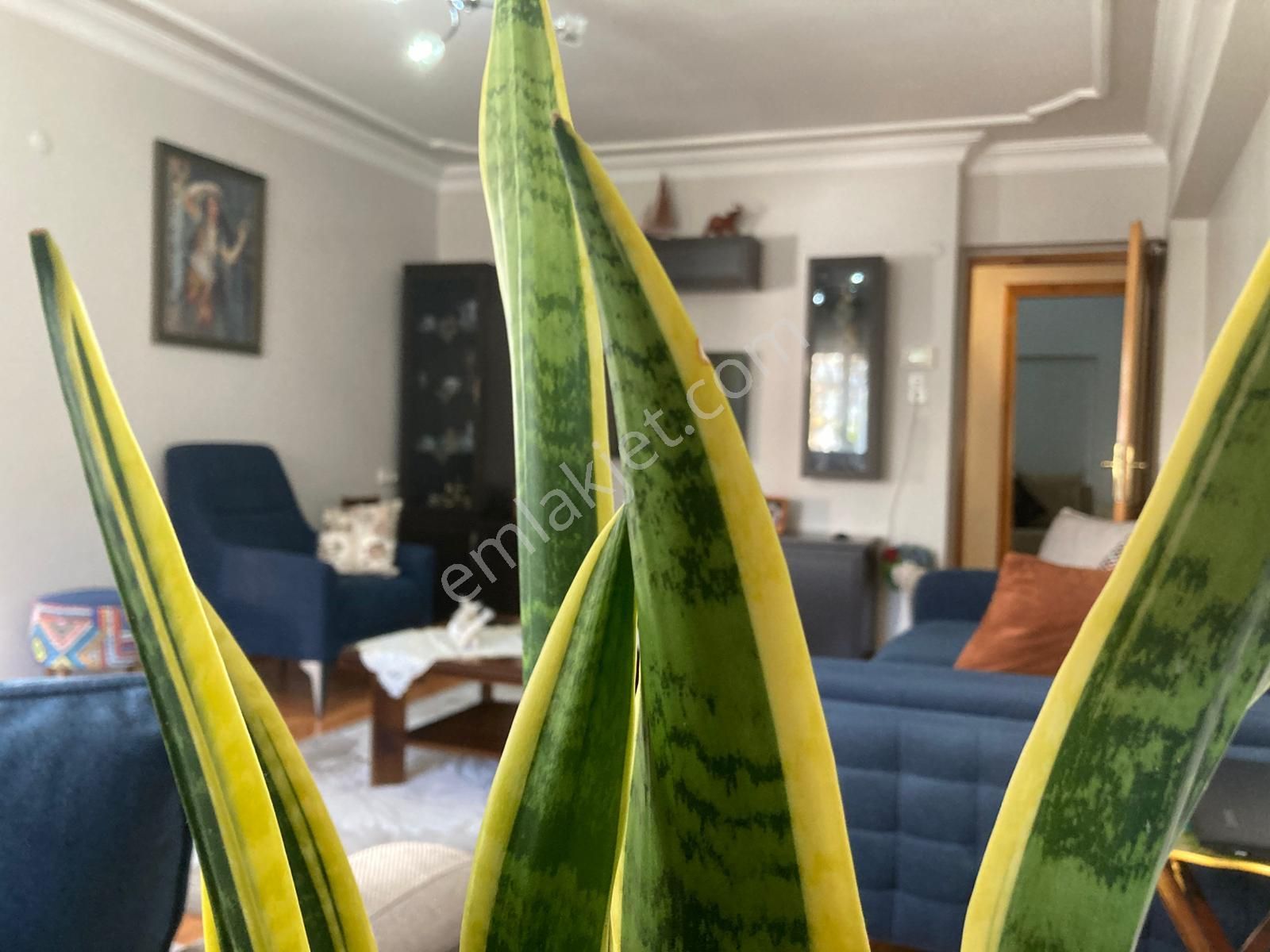 Nazilli Zafer Mah. Yunus Emre Parkı Bölgesinde Satılık 3+1 Daire - Görsel 12