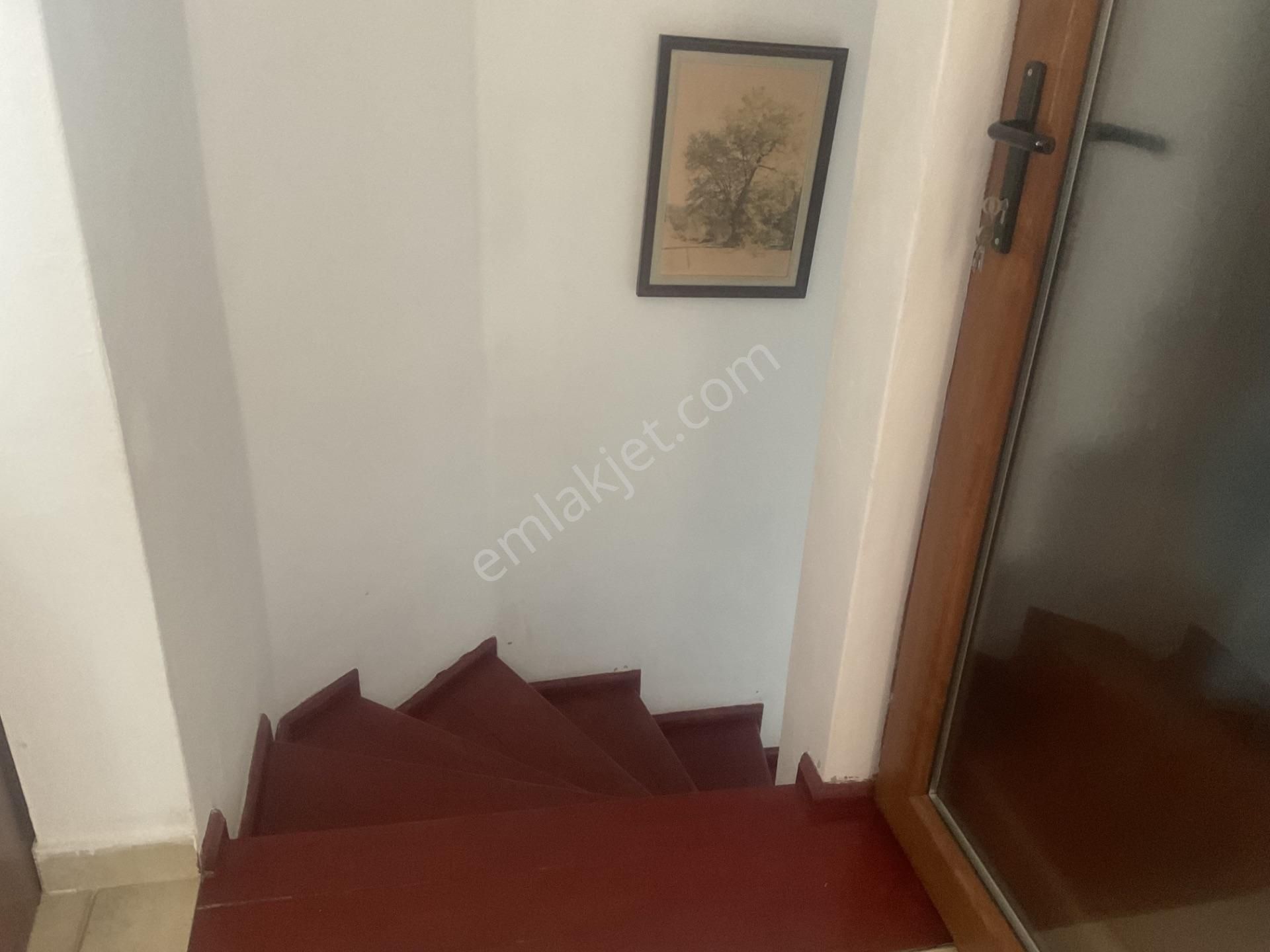 Yalıkavak A Yakın Muhteşem Deniz Orman Manzaralı Villa Müstakil - Görsel 17