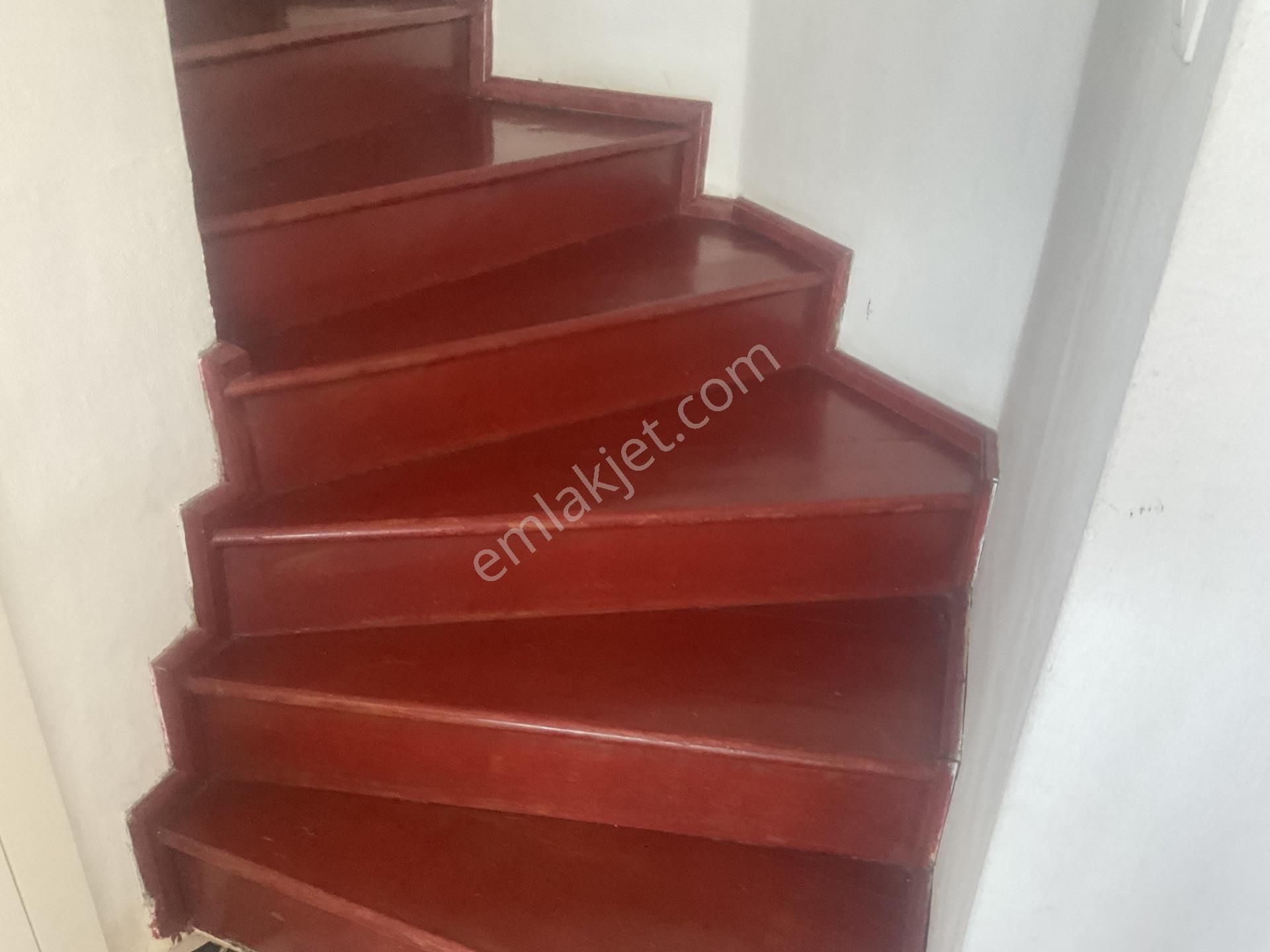 Yalıkavak A Yakın Muhteşem Deniz Orman Manzaralı Villa Müstakil - Görsel 16