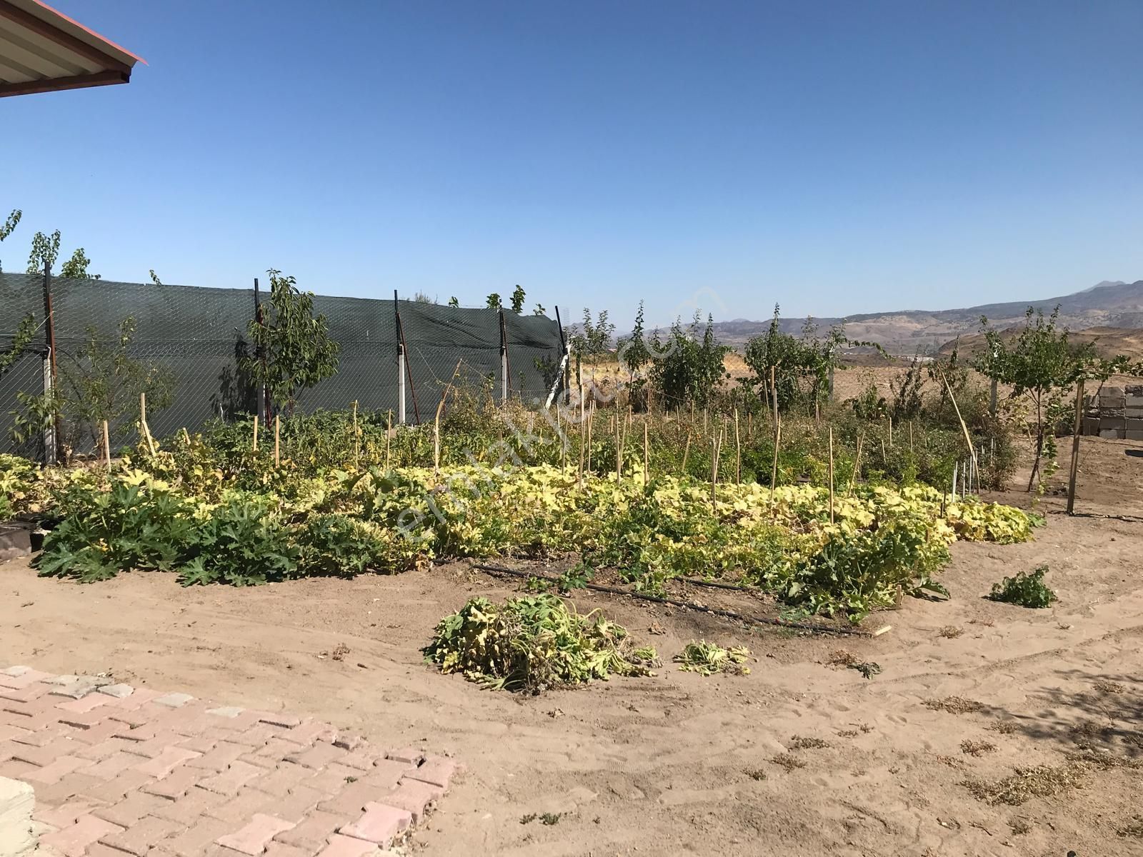 İncesu Garipçe Büyükkum'da Satılık Evli 400 M2 Bahçe - Görsel 4