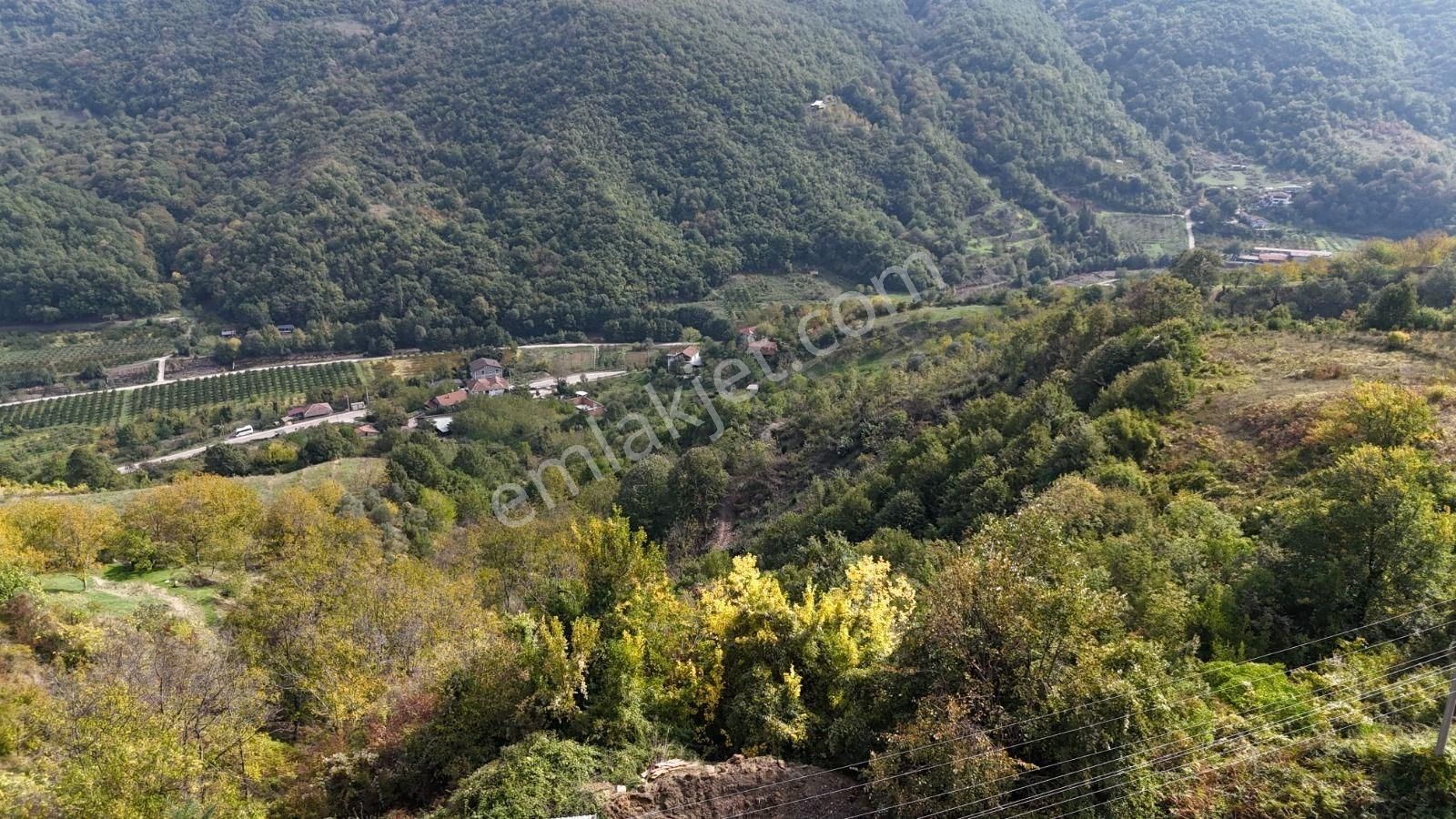 Altın Emlak' Tan Gölcük İhsaniye De İmara Sadece 70 Metre Mesafede 16353 Metrekare Satılık Arazi - Görsel 7