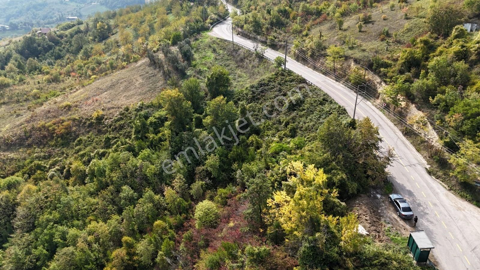 Altın Emlak' Tan Gölcük İhsaniye De İmara Sadece 70 Metre Mesafede 16353 Metrekare Satılık Arazi